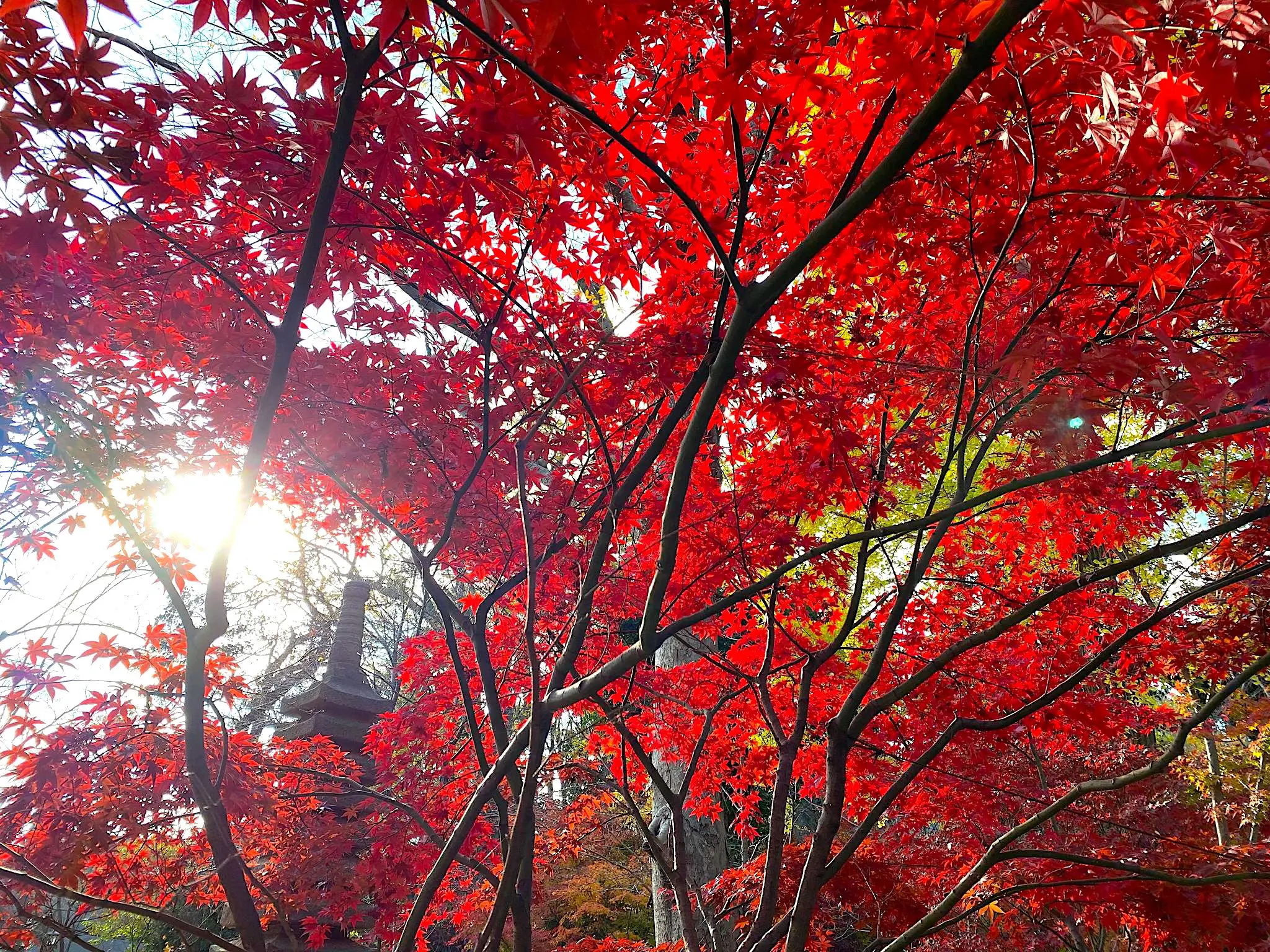 o2048153614872572789