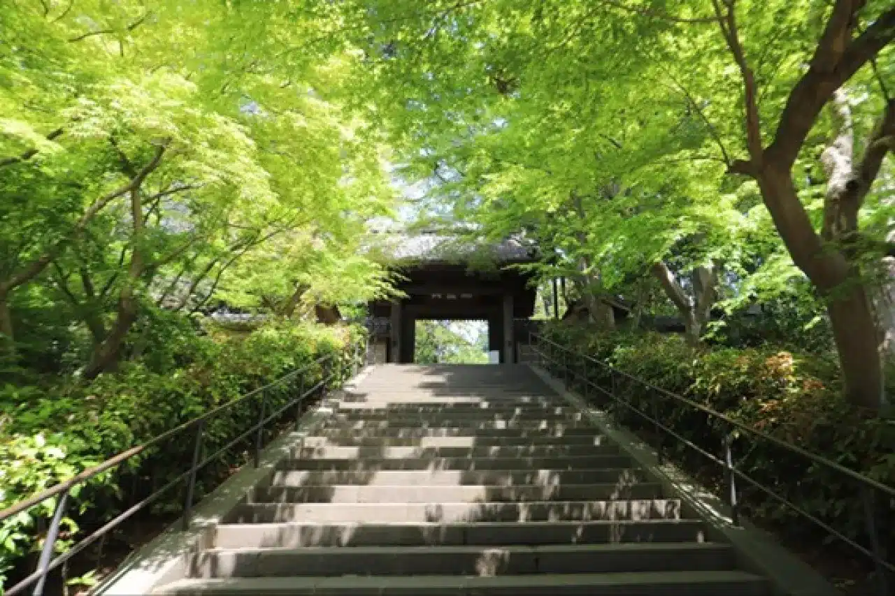kamakurasakubundo-1