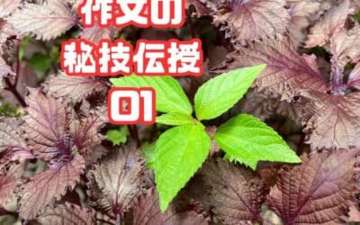 作文秘技伝授０１